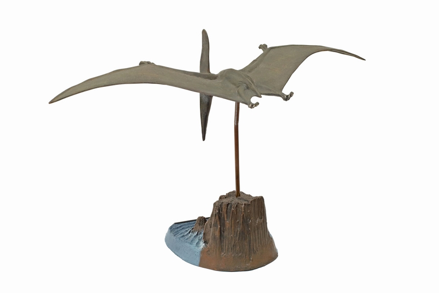 Pteranodon Kit